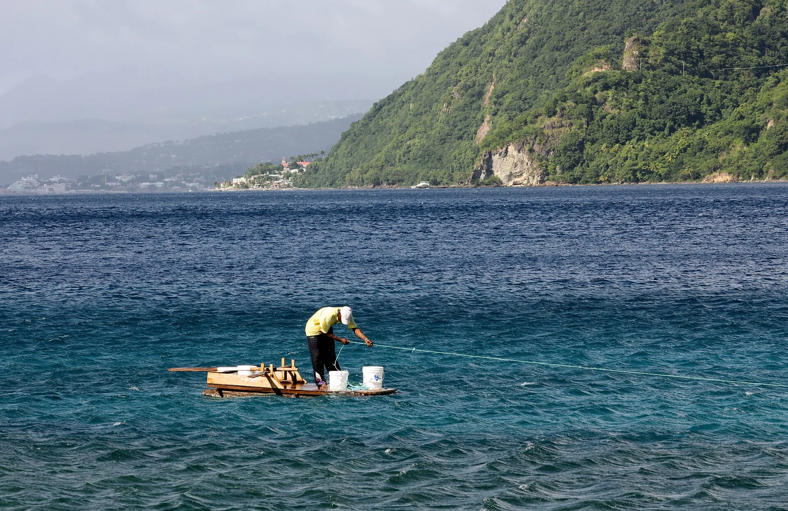 Fresh Catch