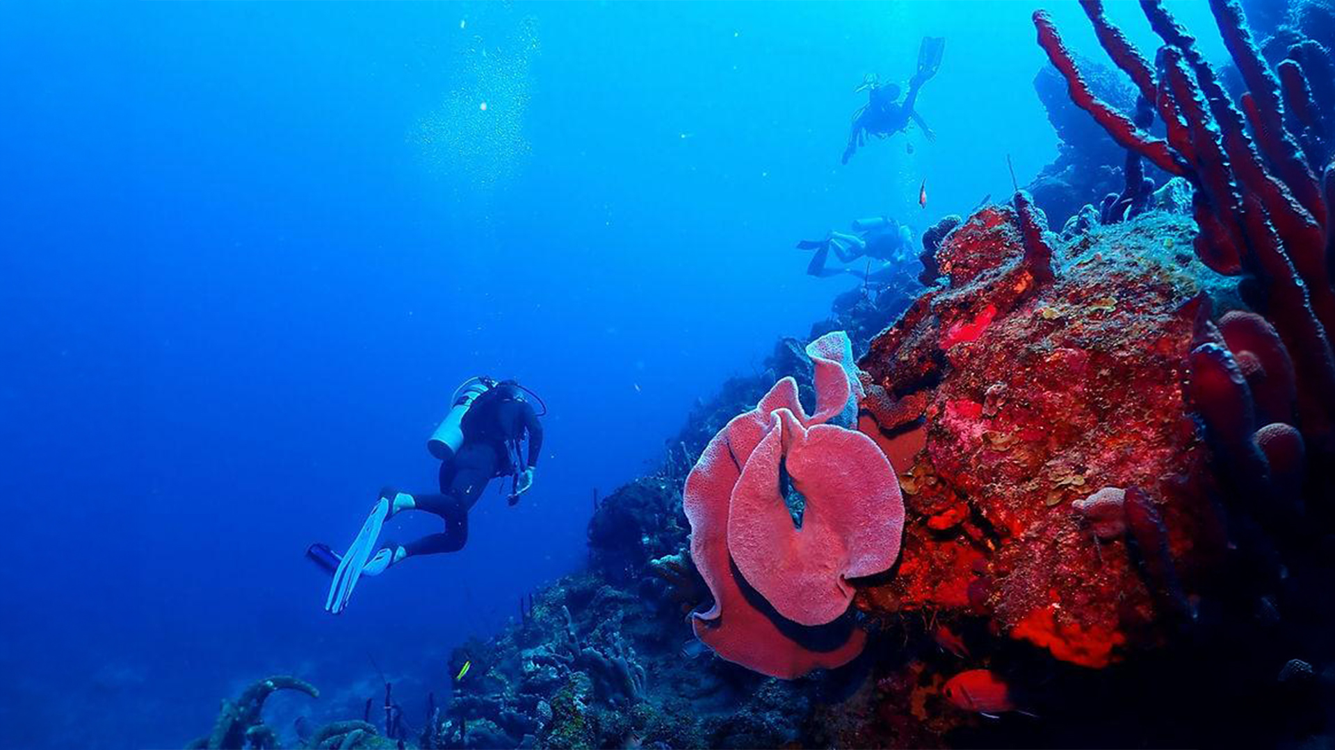 Diving