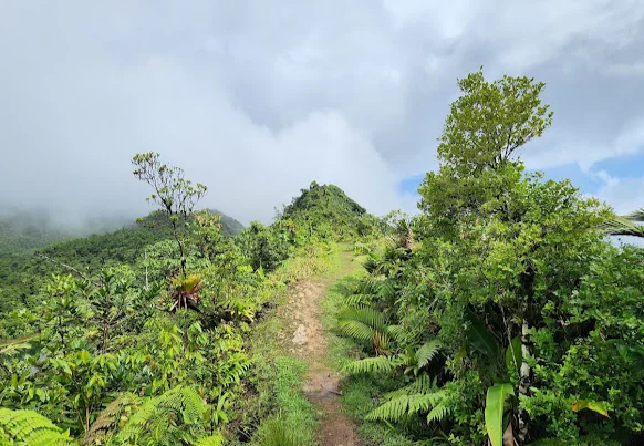 Morne Trois Pitons