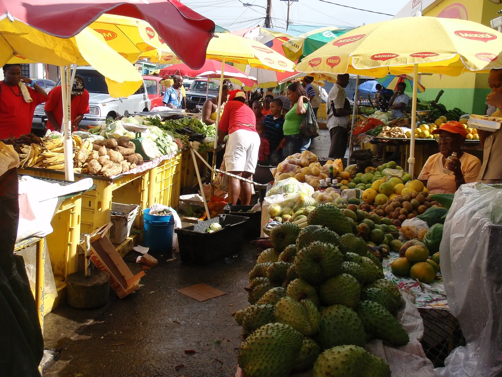 Tropical Fruits