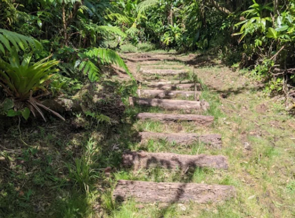 Morne Trois Pitons