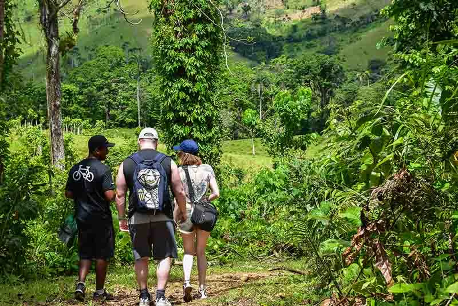 Morne Trois Pitons