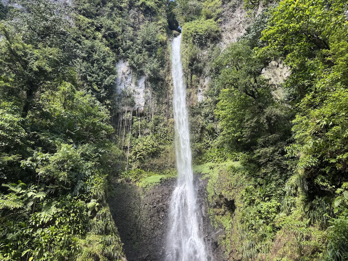 Middleham Falls