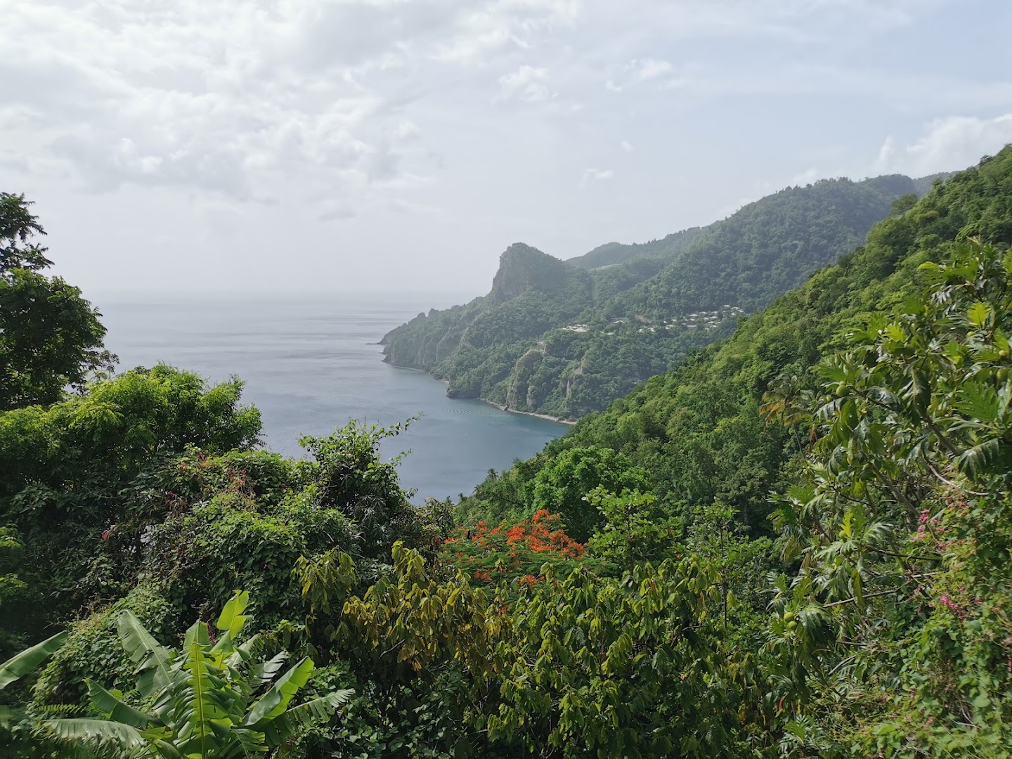 Southern Dominica