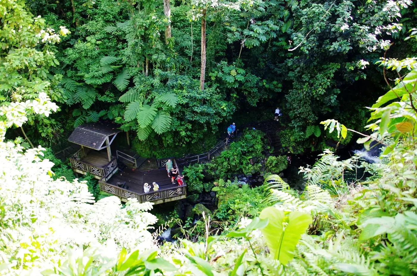 Dry Season (December-April) in Dominica, Morne Trois Pitons National Park