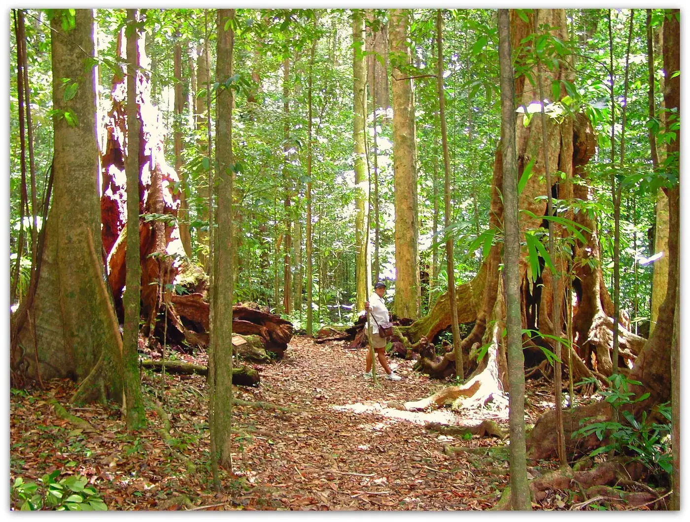 Syndicate Nature Trail